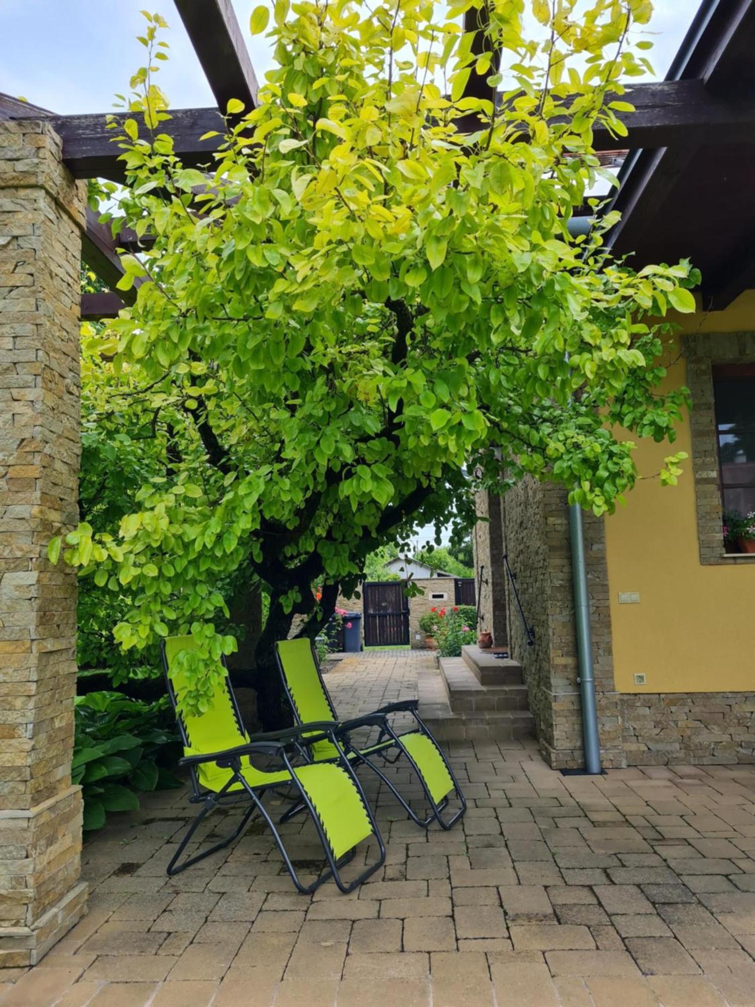 Duzzogo Vendeghaz Agard Villa Gárdony Exterior foto