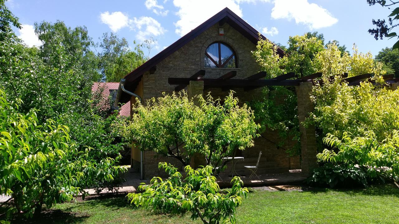 Duzzogo Vendeghaz Agard Villa Gárdony Exterior foto