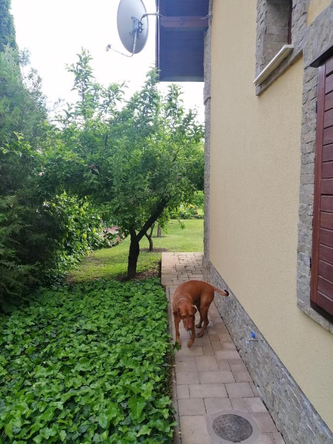 Duzzogo Vendeghaz Agard Villa Gárdony Exterior foto